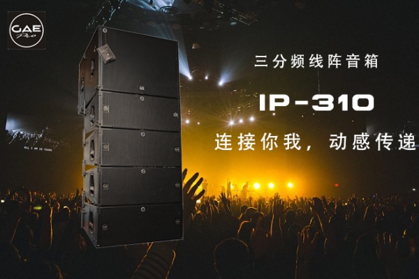 鼎泰丰音响【IP-310】10寸三分频线阵音箱，酒吧音响项目的首选